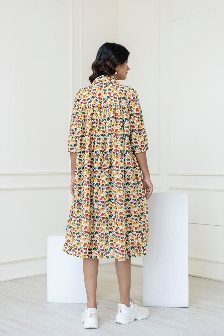 Multicolor Printed Flared Midi Dress