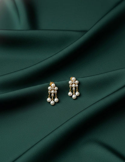 Fancy Beaded Earrings