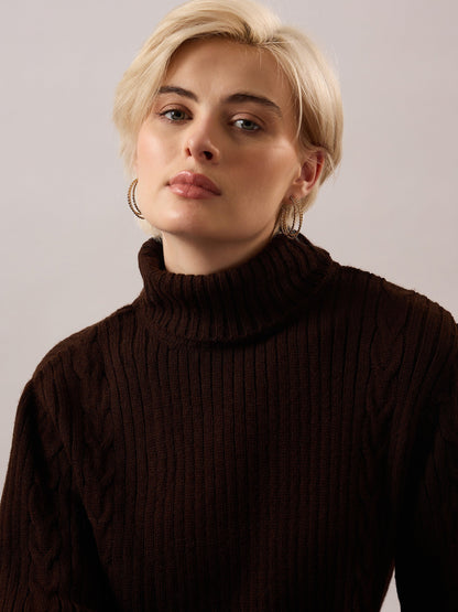 Women Brown Acrylic Wool Turtle Neck Short Dress