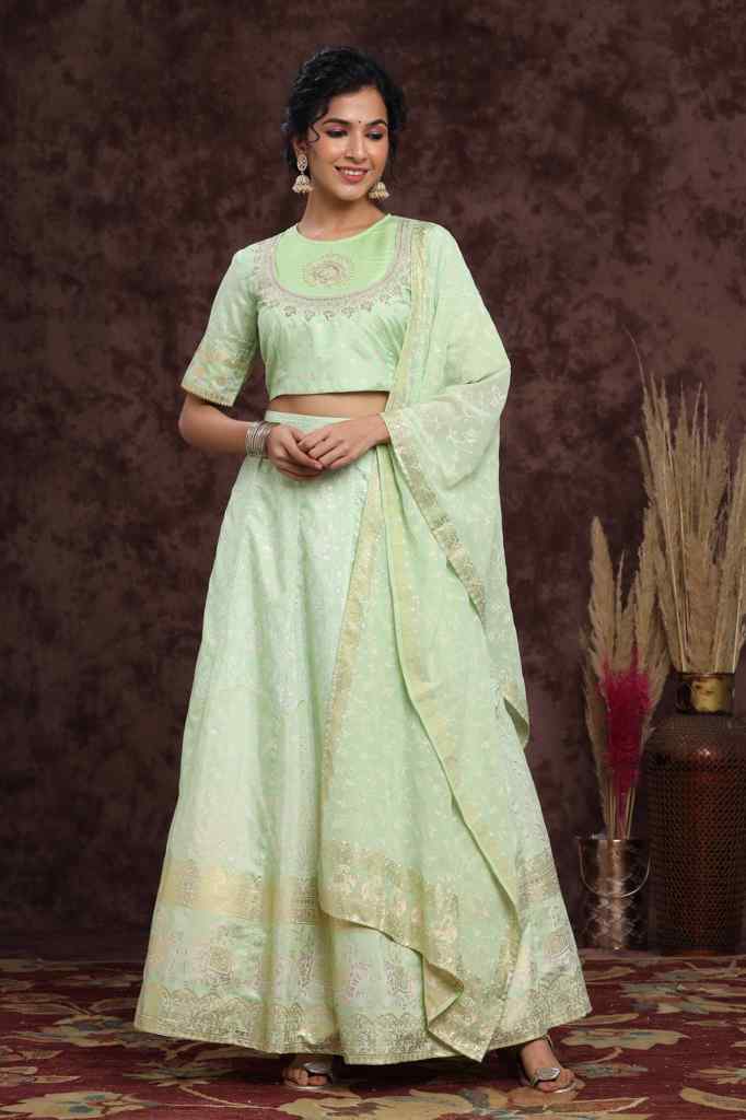 Mint Shantoon Embroidered Flared Lehenga Choli Sets