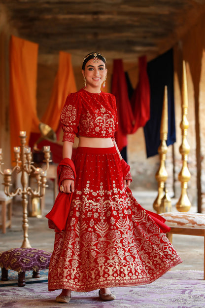 Maroon Velvet Printed Flared Lehenga Choli Sets