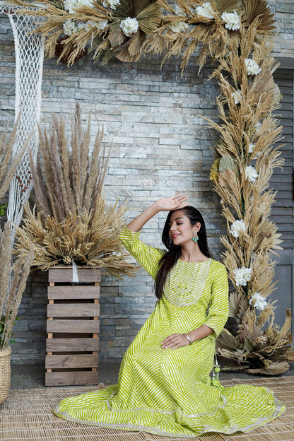 Green Printed Flared Cotton Cambric Dress