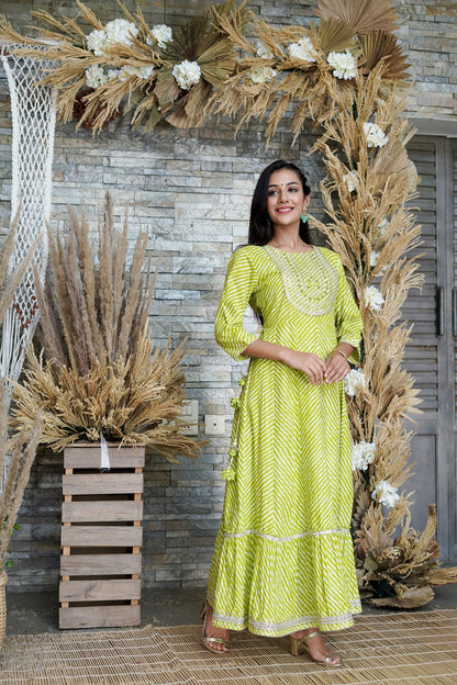 Green Printed Flared Cotton Cambric Dress