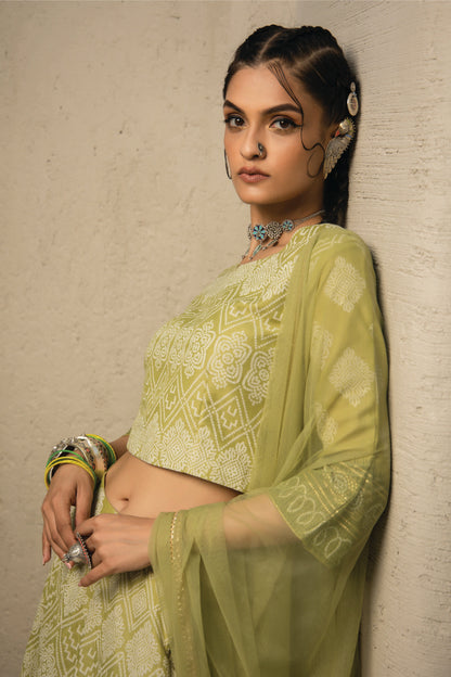 Green Santoon Slub Festive Foil Print Straight Lehenga Choli Set